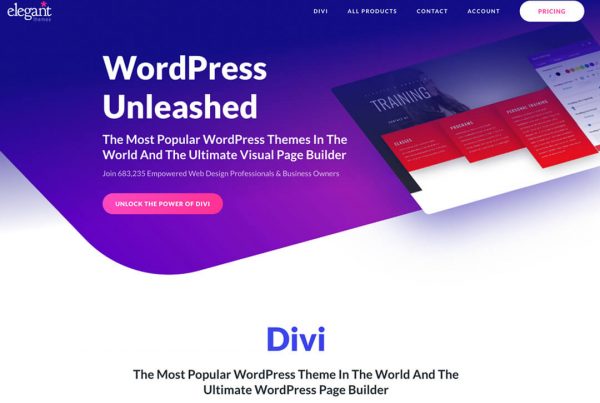Divi Web Designer Australia